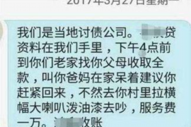 昌吉为什么选择专业追讨公司来处理您的债务纠纷？